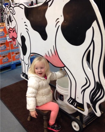 Viking's In-Store Milking Cow