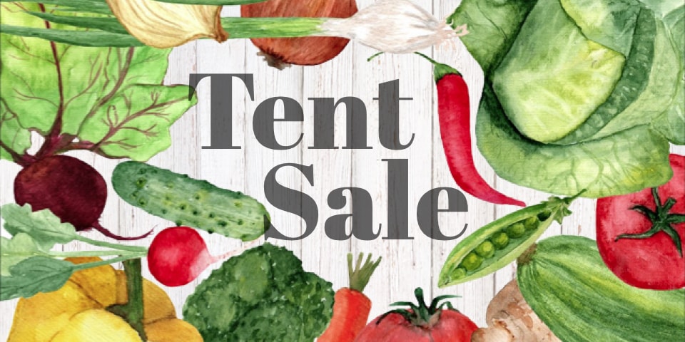 Outdoor Produce Tent Sale