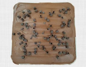 Snack Cake