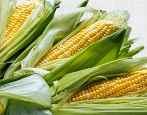 Sweet Corn