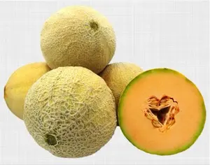 Athena Melons